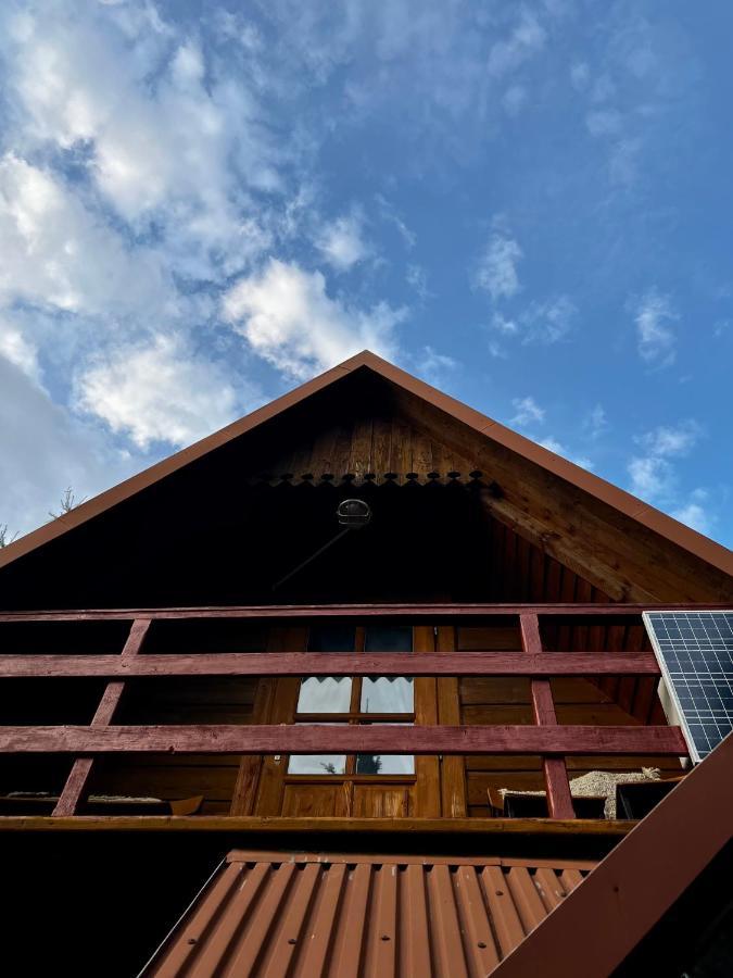 Domek Pod Modrzewiem Nowy Targ Exteriör bild